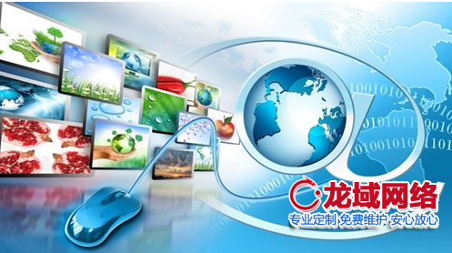 ​网站建设合同法律风险防范指南（2023地区专业版）网站制作合同